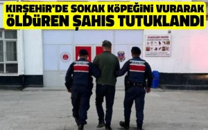 Kırşehir’de köpeği tüfekle vuran şahıs tutuklandı