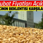 Hububat fiyatları açıklandı, üreticinin beklentisi karşılanmadı
