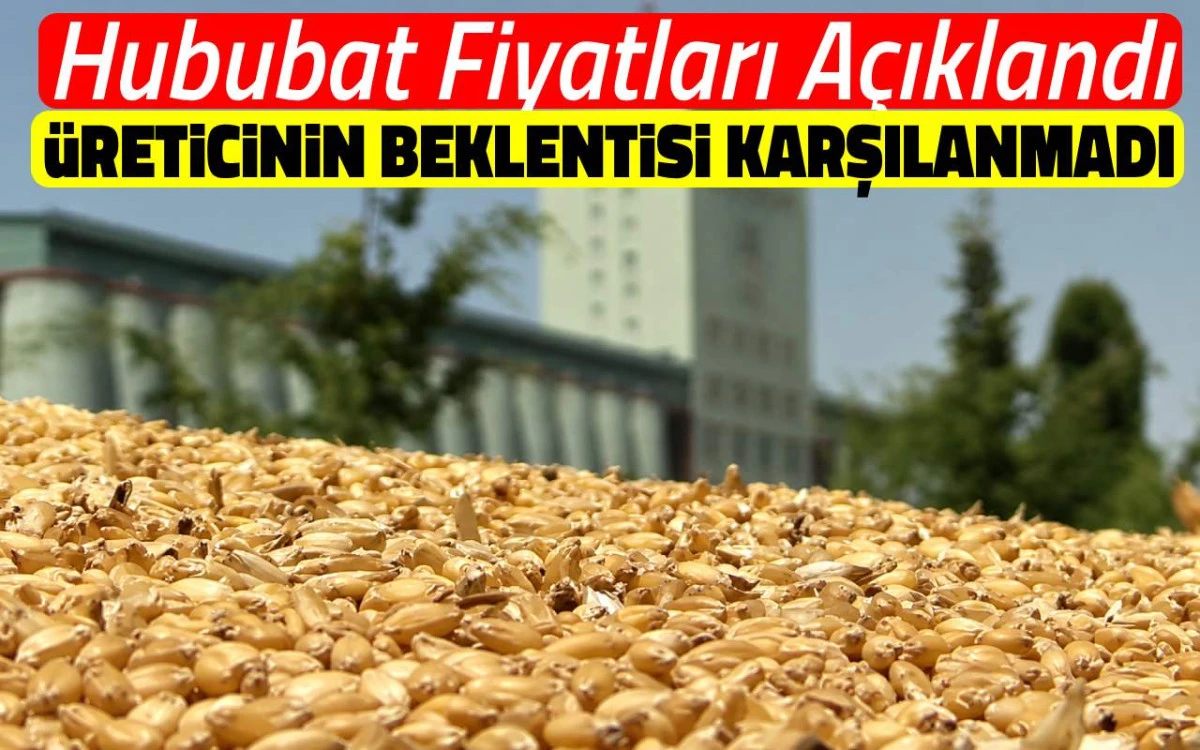 Hububat fiyatları açıklandı, üreticinin beklentisi karşılanmadı